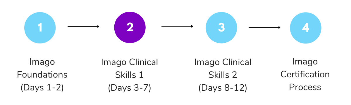 Imago Relationship Therapy Clinical Skills 1